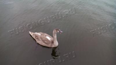 IMG_20151220_133017
