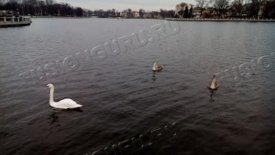IMG_20151220_132752