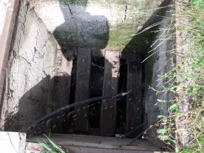 DSCF6446