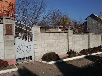 Photo0663[1]