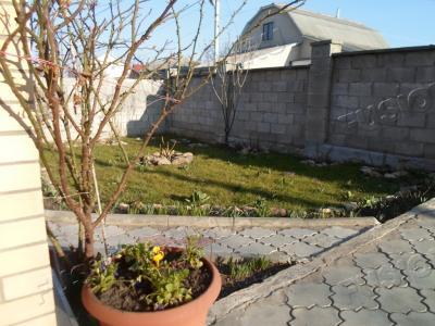 SAM_0994