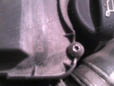 Photo0242