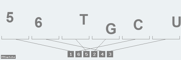 Код подтверждения
