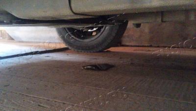 IMG_20140824_121736