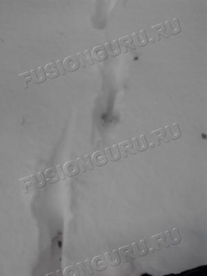 IMG_20170121_123400